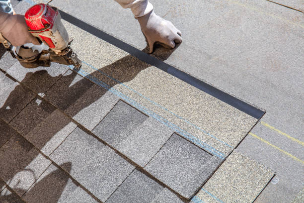 Best Roof Gutter Cleaning  in Hauppauge, NY